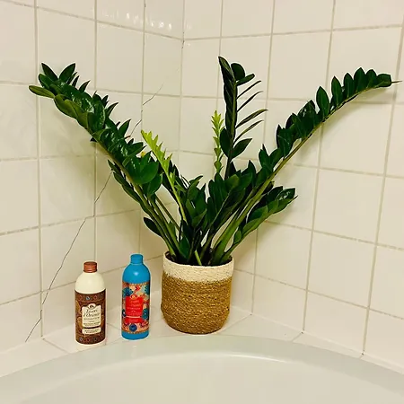 Gemuetliche Flughafen Koeln-bonn Cgn * Colónia